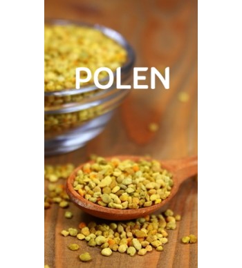 Polen Polen